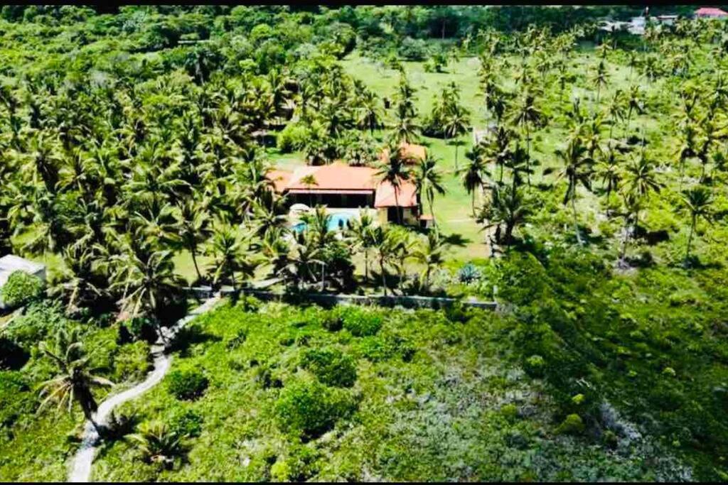 Palm House - Luxury Villa - Samana - Ocean Front Sánchez Extérieur photo