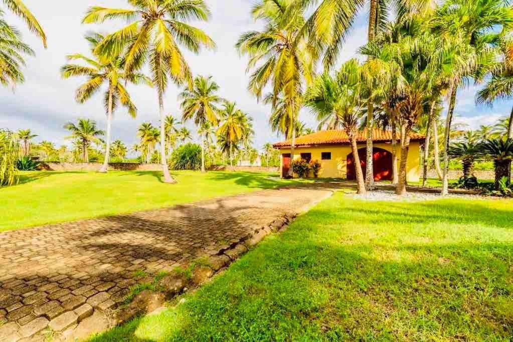 Palm House - Luxury Villa - Samana - Ocean Front Sánchez Extérieur photo