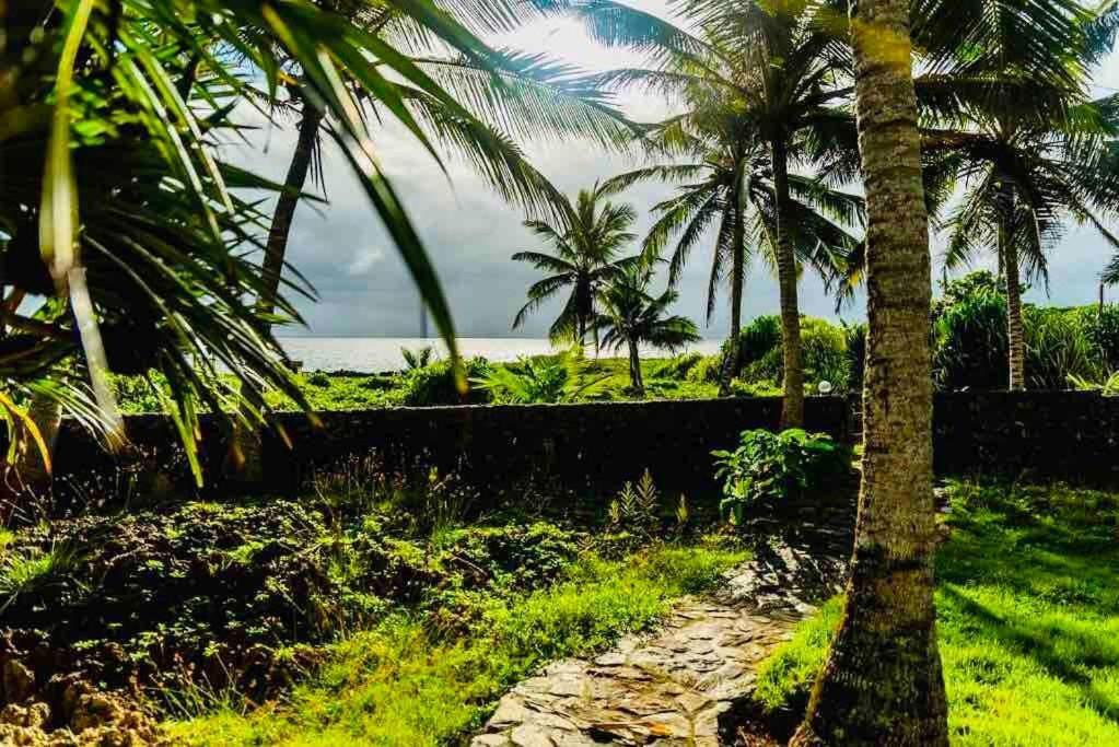 Palm House - Luxury Villa - Samana - Ocean Front Sánchez Extérieur photo