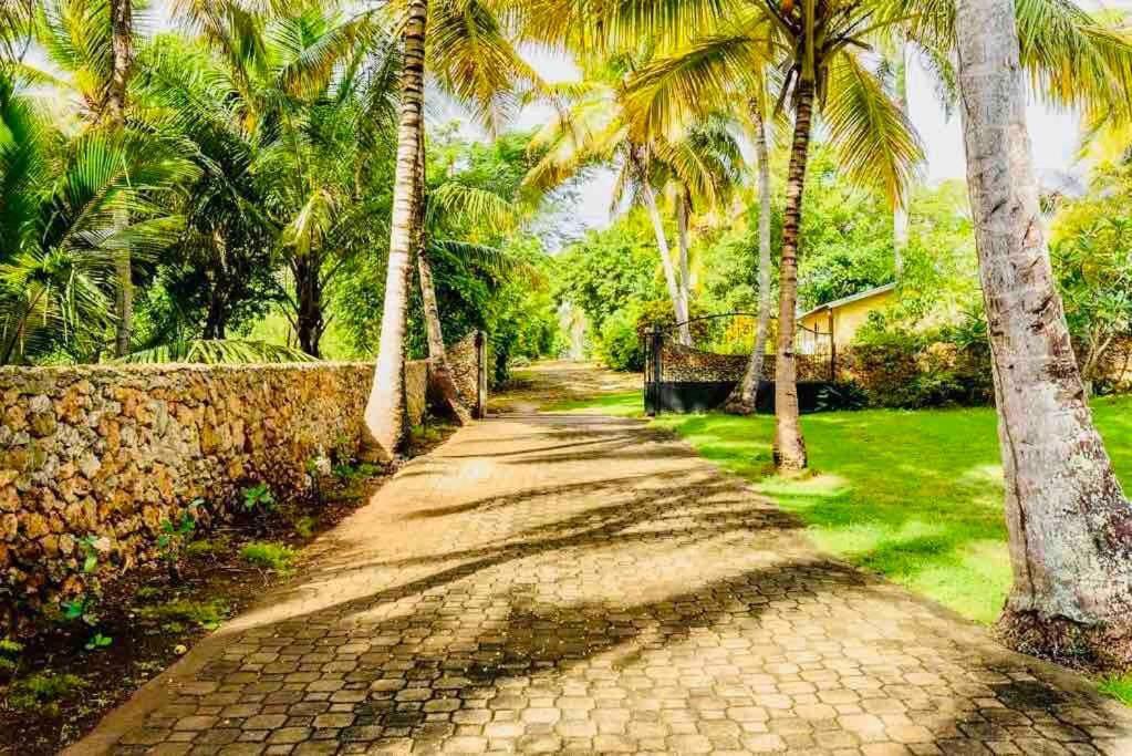 Palm House - Luxury Villa - Samana - Ocean Front Sánchez Extérieur photo