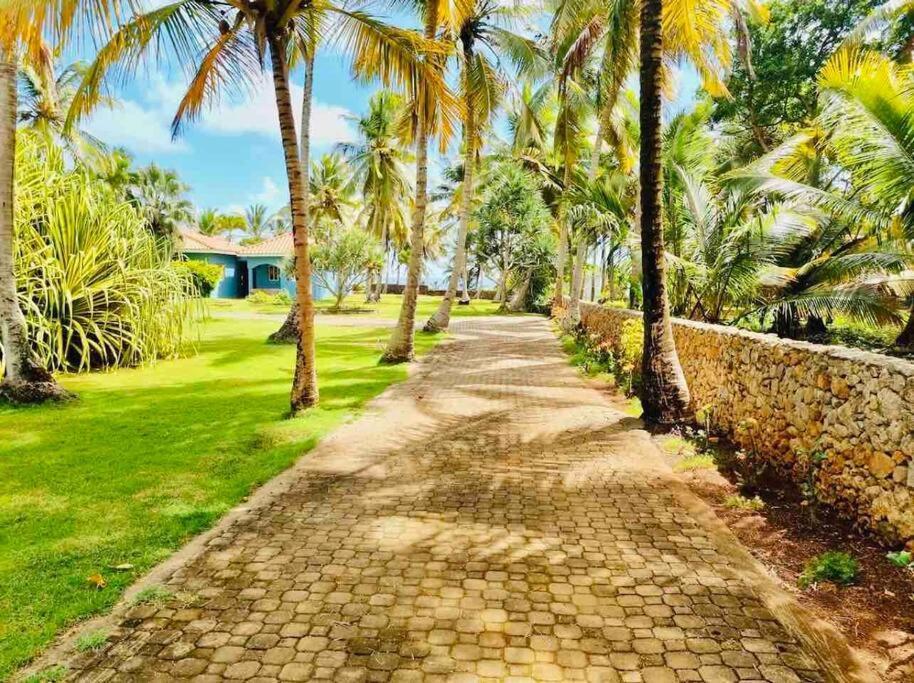 Palm House - Luxury Villa - Samana - Ocean Front Sánchez Extérieur photo