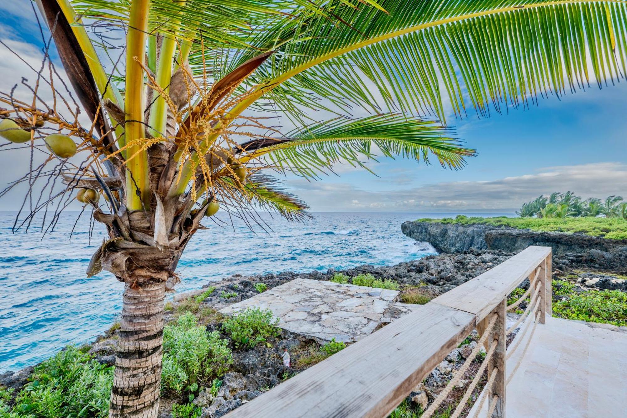 Palm House - Luxury Villa - Samana - Ocean Front Sánchez Extérieur photo