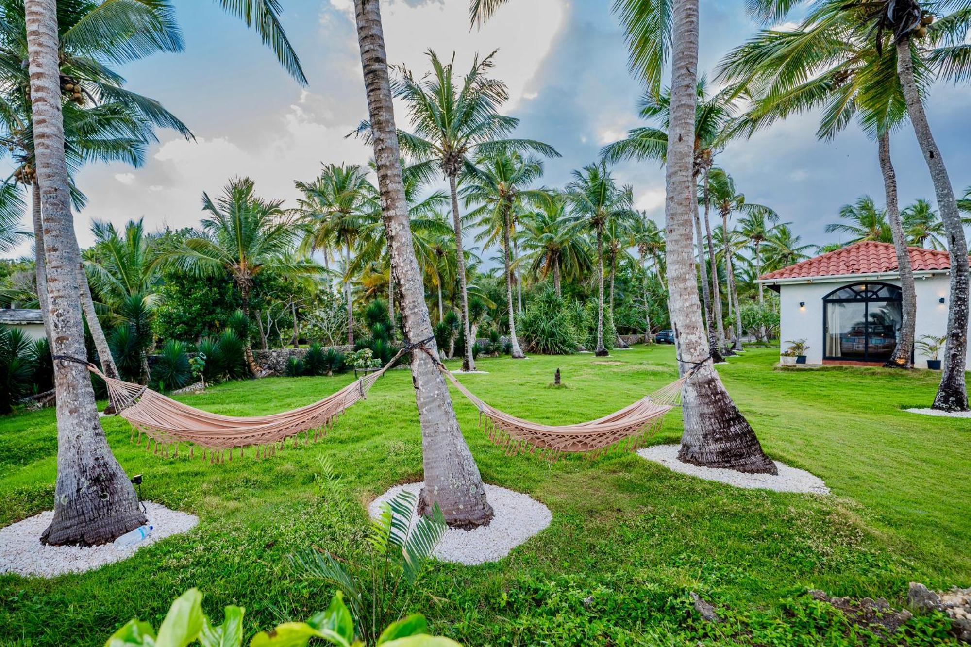 Palm House - Luxury Villa - Samana - Ocean Front Sánchez Extérieur photo