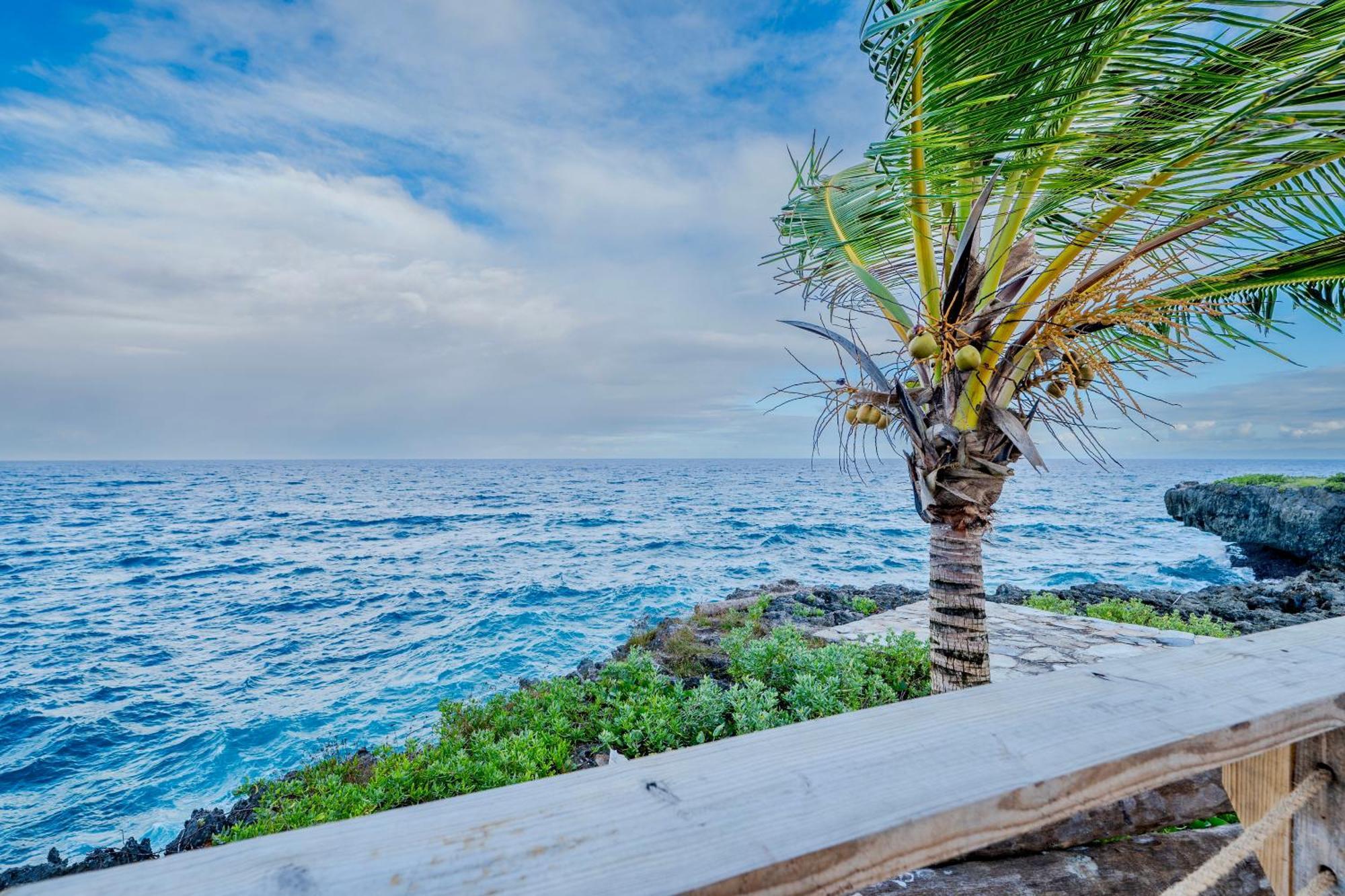 Palm House - Luxury Villa - Samana - Ocean Front Sánchez Extérieur photo
