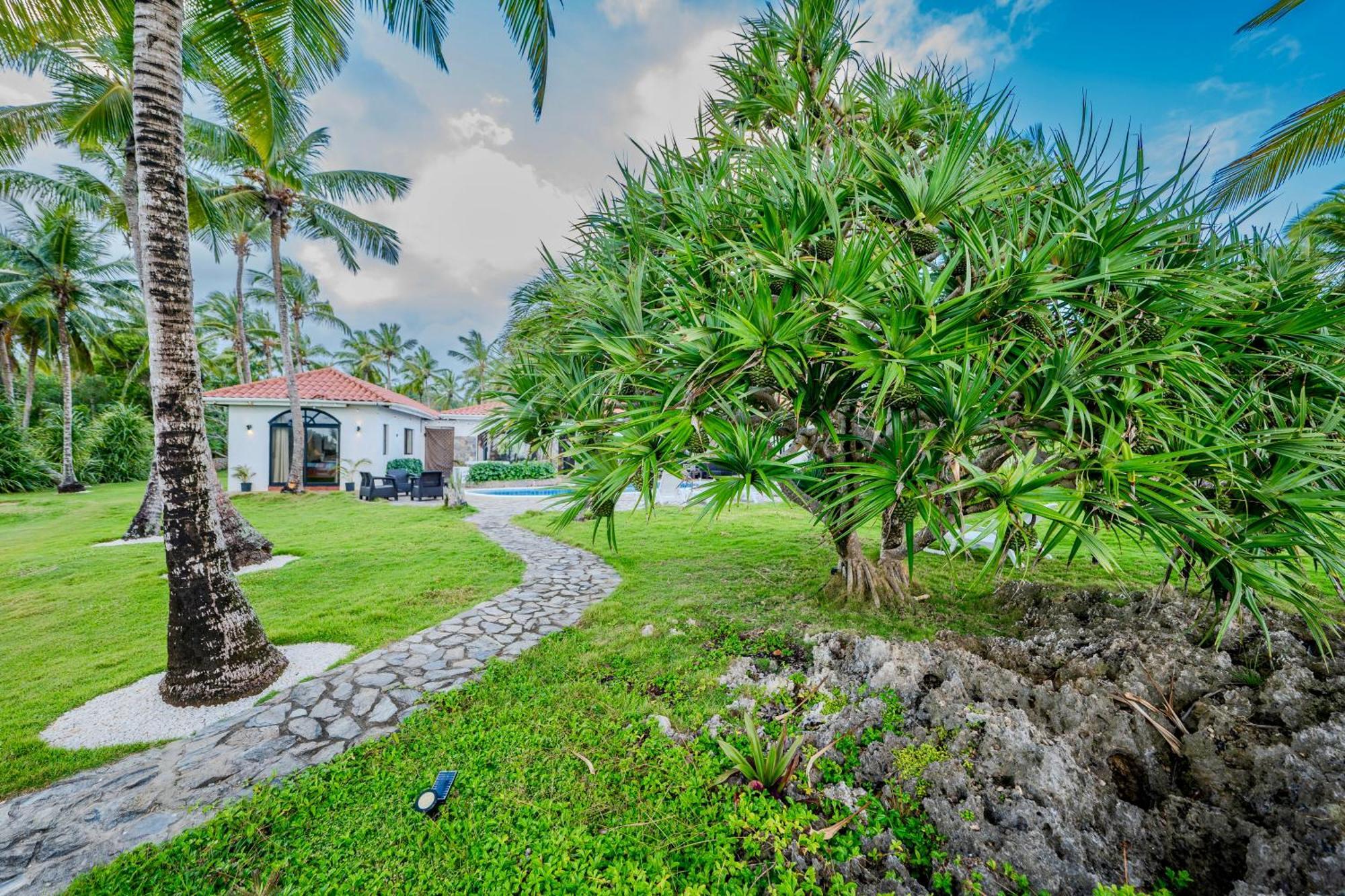 Palm House - Luxury Villa - Samana - Ocean Front Sánchez Extérieur photo
